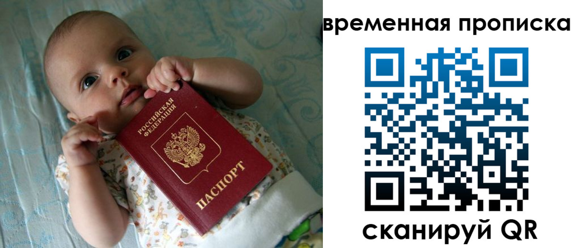 найти адрес прописки в Бологом