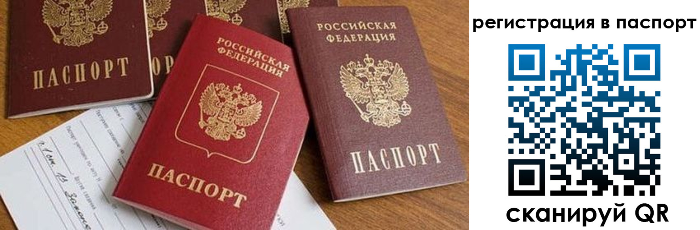 прописка в Бологом